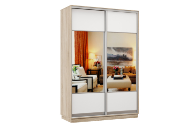 Шкаф-купе Премьер Лайт 01 (05;05) двухдверный