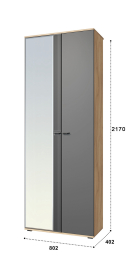 Шкаф для одежды Эмилия ЭЛ-13К комбинированный