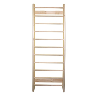 Спортивный инвентарь, Стенка шведская №2 Absolute Champion