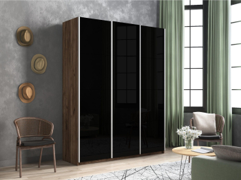 Шкаф-купе Прайм 3-х дверный Стекла черные/Доводчики 180х57х230