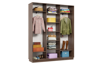 Шкаф-купе Премьер 25 (14;14;14) трёхдверный