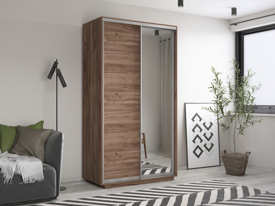 Шкафы-купе 2-х дверные, Шкаф-купе Экспресс Хит 2х дверный ДСП/Зеркало 120х60х220