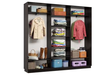 Шкаф-купе Премьер Лайт 55 (08;11;08) трехдверный