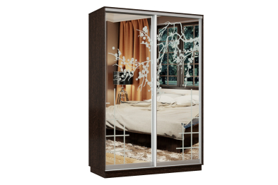 Шкаф-купе Премьер Лайт 12 П-3159 двухдверный