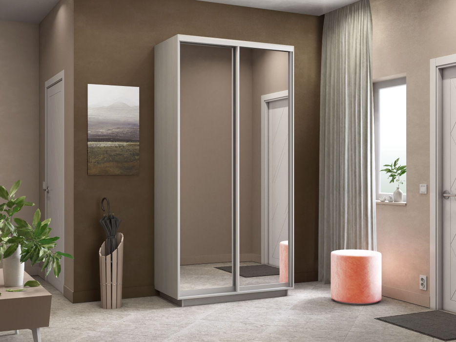 Шкафы-купе 2-х дверные, Шкаф-купе Экспресс Экспенс дуо 2200 x 1200 x 450