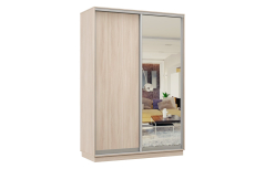 Шкафы-купе, Шкаф-купе Премьер Лайт 04 (02;01) двухдверный