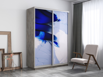 Шкаф-купе Экспресс 1010, 120х45х240