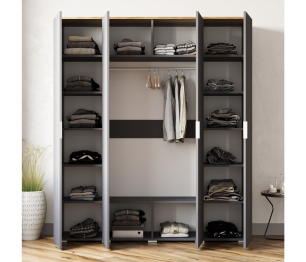 Шкаф распашной Ингрия 8