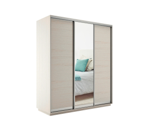 Шкаф-купе Экспресс Медиум (1 зеркало) трио 2200 x 1800 x 600