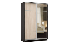 Шкафы-купе, Шкаф-купе Премьер Лайт 03 Мини (08;11) двухдверный