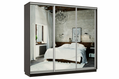 Шкаф-купе Премьер 55 Венге