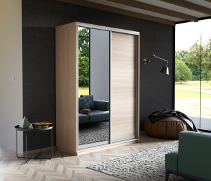 Шкаф-купе Экспресс Медиум дуо 2400 x 1200 x 600