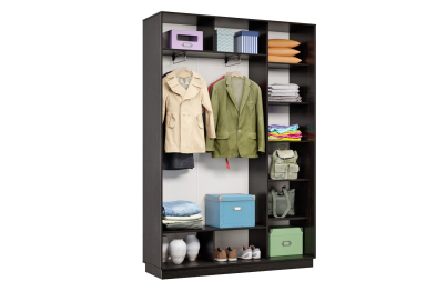 Шкаф-купе Премьер 11 (01ЗГ;01ЗГ) фасады зеркало графит/двухдверный/Профиль чёрный муар