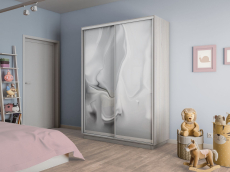 Шкафы-купе 2-х дверные, Шкаф-купе Экспресс 2-х дверный Фотопечать Шелк Стекла 160х60х240