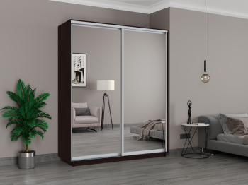 Шкаф-купе Экспенс Широкий, 180х45х220