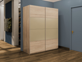 Шкаф-купе Эста 2-х дверный ДСП/Стекла фисташка/Доводчик 200х66х240