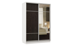 Шкафы-купе, Шкаф-купе Премьер Лайт 03 Мини (08;11) двухдверный