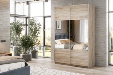 Шкаф-купе Smart 1222 2х дверный (фасады ЛДСП/зеркало) профиль серебро