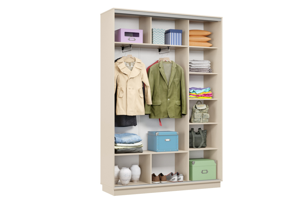 Шкафы-купе, Шкаф-купе Премьер Лайт 11 (08;11) двухдверный