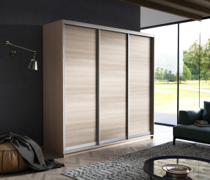 Шкаф-купе Экспресс Элемент трио 2200 x 1800 x 600