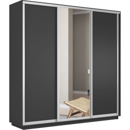Шкаф-купе Экспресс Медиум (1 зеркало) трио 2200 x 2100 x 600