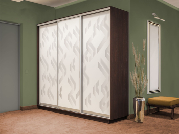 Шкаф-купе Экспресс 3-х дверный Фотопечать Ленты Стекла 240х45х220