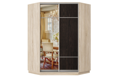 Шкаф-купе Премьер Лайт 71 угловой (08;11) двухдверный