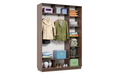 Шкаф-купе Премьер 11 (15;15) двухдверный