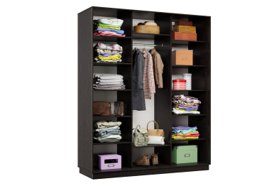 Шкаф-купе Премьер Лайт 32 (01;01;01) трехдверный