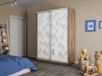 Шкаф-купе Экспресс 2-х дверный Фотопечать Ленты Стекла 160х60х220