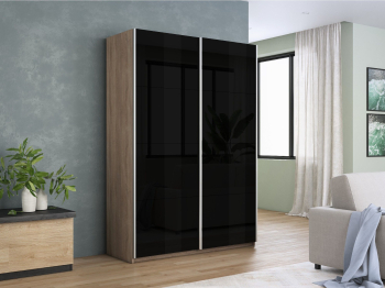 Шкаф-купе Прайм 2-х дверный Стекла черные/Доводчики 120х57х230
