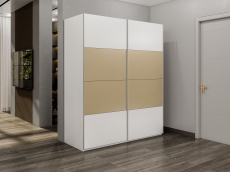 Шкафы-купе 2-х дверные, Шкаф-купе Эста 2-х дверный ДСП/Стекла фисташка/Доводчик 180х66х240