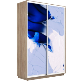 Шкаф-купе Экспресс 1010, 120х45х240