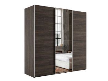 Шкаф-купе Эста ДСП+Зеркало+ДСП 240х66х240