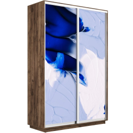 Шкаф-купе Экспресс 1010, 120х60х240