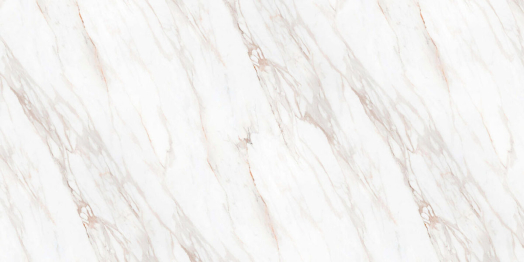 Столешница 3000*595*38 влагостойкая Ботаника 2742_Т