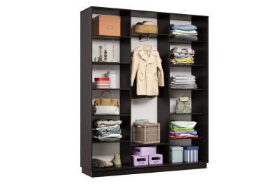 Шкаф-купе Премьер Лайт 31 (01;01;01) трехдверный