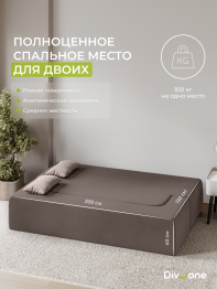 Бескаркасный диван-кровать Дадли 2000*1050мм., велюр