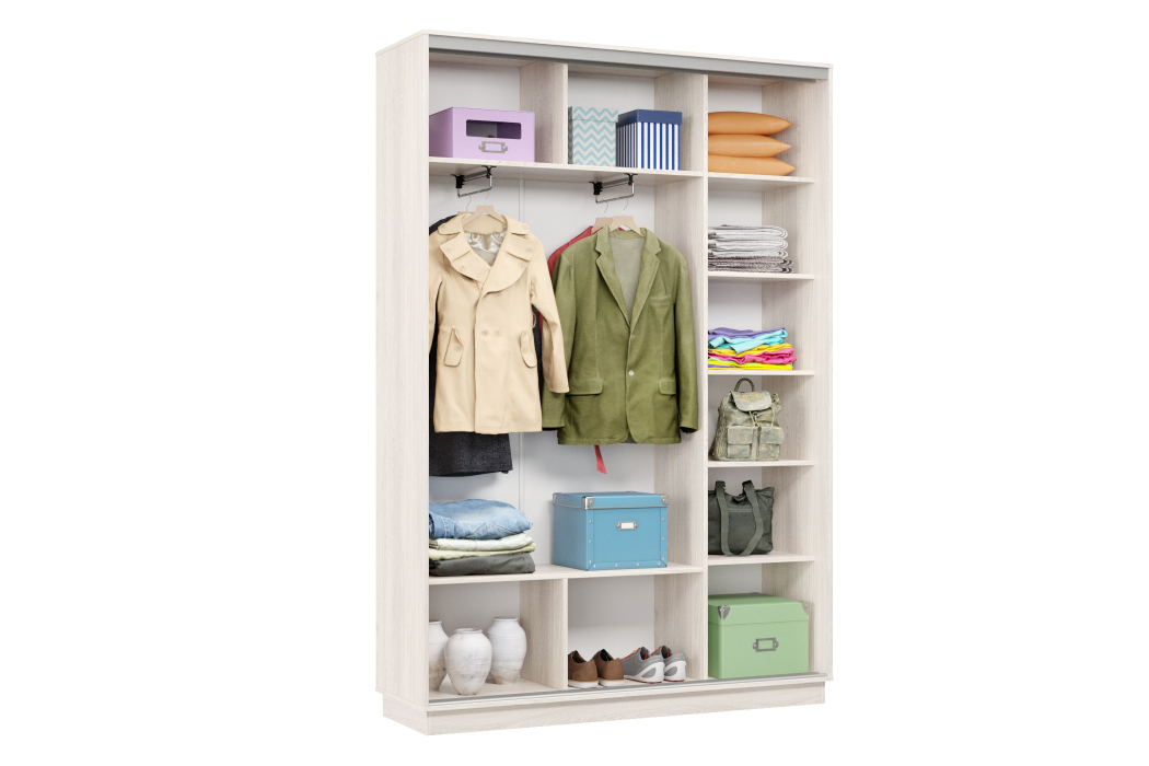 Шкафы-купе, Шкаф-купе Премьер Лайт 09 (05;05) двухдверный