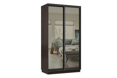 Шкаф-купе Премьер МИНИ 01 (01ЗГ;01ЗГ) фасады зеркало графит/двухдверный/Профиль чёрный муар