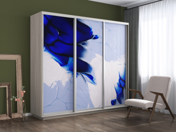 Шкаф-купе Экспресс 1010, 180х45х240