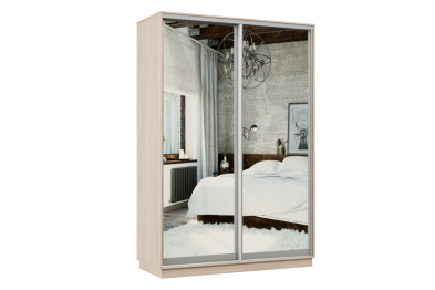 Шкаф-купе Премьер Лайт 09 (01;01) двухдверный
