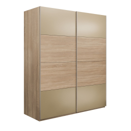 Шкаф-купе Эста 2-х дверный ДСП/Стекла фисташка/Доводчик 200х66х240