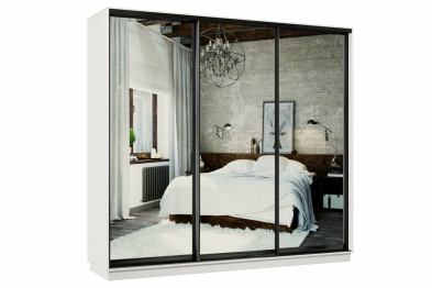 Шкаф-купе Премьер 60 белый