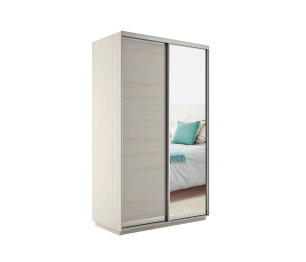 Шкаф-купе Экспресс Медиум дуо 2200 x 1200 х 600