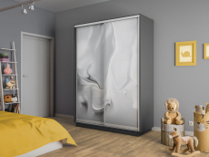 Шкафы-купе 2-х дверные, Шкаф-купе Экспресс 2-х дверный Фотопечать Шелк Стекла 120х45х220