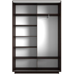 Шкаф-купе Экспресс 1011, 160х45х240