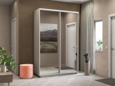 Шкафы-купе, Шкаф-купе Экспресс Экспенс дуо 2400 x 1600 x 600