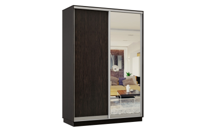 Шкаф-купе Премьер Лайт 04 (02;01) двухдверный