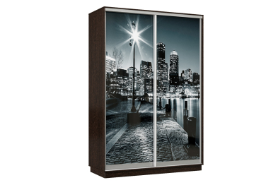 Шкаф-купе Премьер Лайт 04 Ф-1356 двухдверный